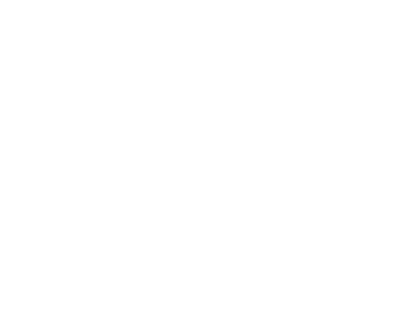 Vacca Camera Logo