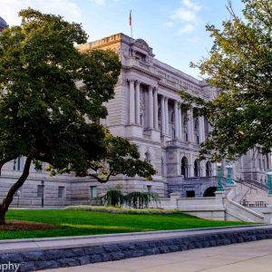 Morning at the Library of Congress, Washington, D.C.